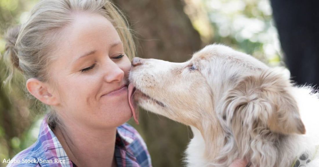 5 Reasons Why Your Dog Licks You