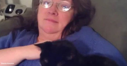 A woman with glasses relaxes on a couch, holding a black cat on her lap.