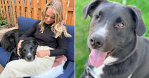On the left, a blonde woman cuddles a black dog on a blue outdoor sofa; on the right, a black-and-white dog sits happily on green grass.