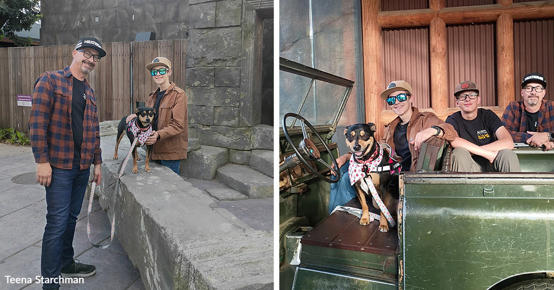 Split image showing a man and teenage boy posing with a small black-and-tan dog on the left, and the same dog standing in an old green vehicle with three people on the right.