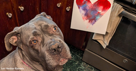 Gray pit bull gazing up while a person holds a painting labeled “Willow – 2026” with a red and purple heart.
