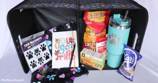 This Adventurous Gift Uplifts Furry Families and Transforms Road Trips with Compassion