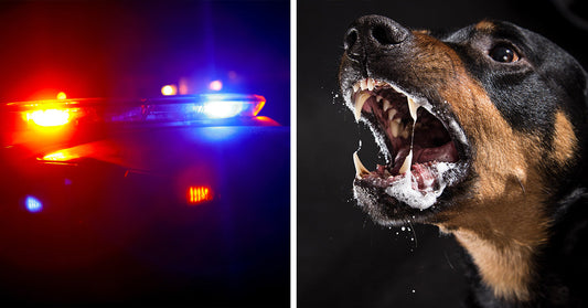 Split image showing red and blue police lights beside a close-up of a snarling black-and-tan dog baring its teeth.