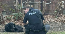 Police officer kneels beside a resting black dog in a yard.