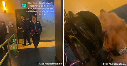 Disney’s Favorite Dog Shows You Where You Can Leave Your Service Dogs When You Go On A Ride