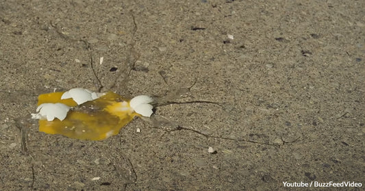 Are You Up To Challenging Yourself To Fry An Egg On The Sidewalk This Summer?