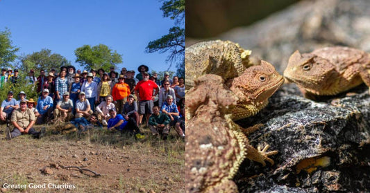 You've Helped Us Study a Unique Ecosystem in Mexico, Laying the Groundwork for Conservation