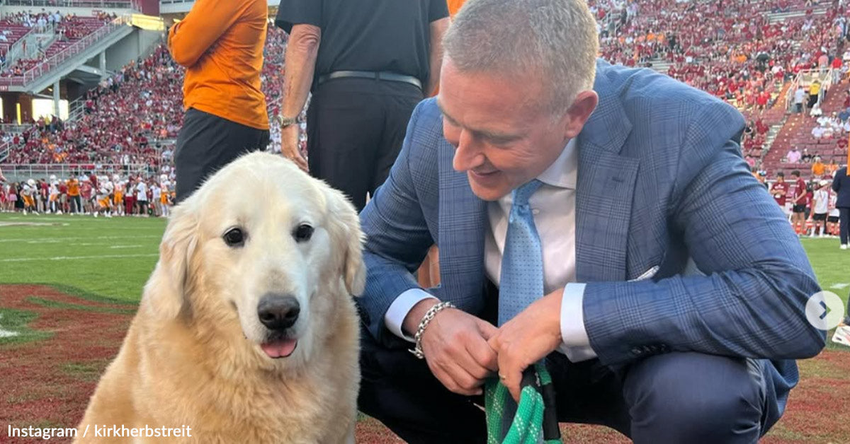 School Soccer Sportscaster Kirk Herbstreit Breaks Down Throughout Heartfelt Tribute to Beloved Canine