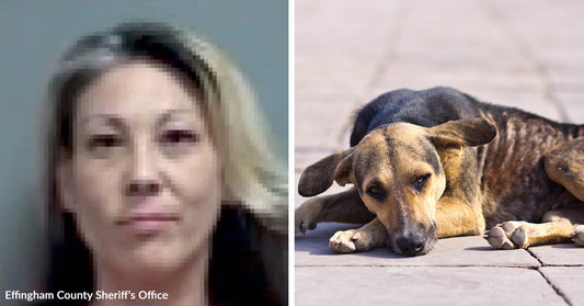 Split image of a woman’s mugshot and a thin dog lying on pavement looking weak.