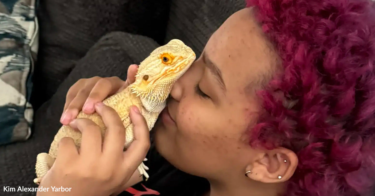 Finest Buddies Since Childhood — This Teen and Her Lizard Soften the Web