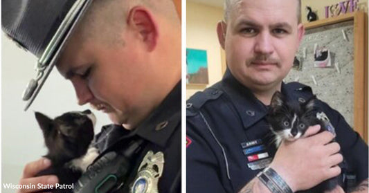 Two law enforcement officers each hold a small black-and-white kitten, appearing calm and safe in their arms.