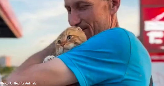 Ukraine Cat Scared Off By Bombs During Evacuation Reunites With Family