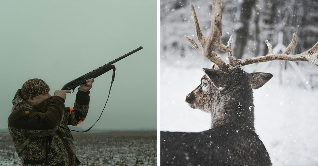 Split image showing a hunter aiming a shotgun on the left and a deer with antlers in the snow on the right.