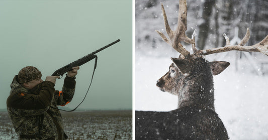 Split image showing a hunter aiming a shotgun on the left and a deer with antlers in the snow on the right.