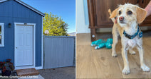 Domestic Violence Survivors and Their Beloved Pets Now Have Safe Place to Go in Utah
