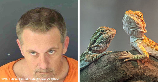 Mugshot of a man next to an image of two bearded dragons resting on a branch.
