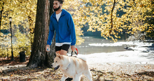 Embrace Health and Happiness During National Walk Your Pet Month