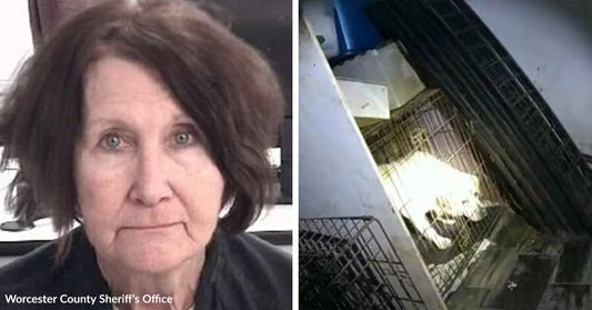 Split image showing a mugshot of an older woman on the left and several pet carriers stacked indoors, some containing cats, on the right.