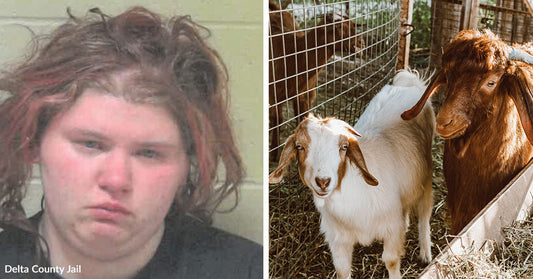Mugshot of a woman beside two goats standing in a pen filled with hay.