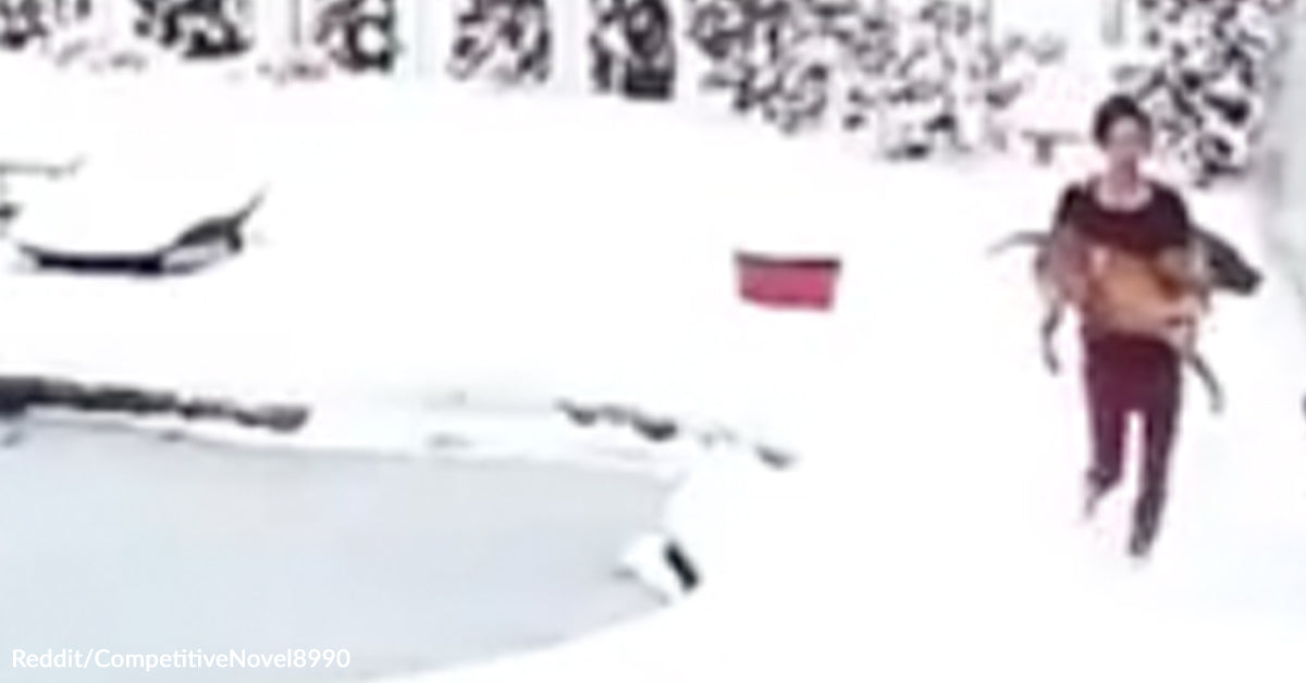 Girl Rushes Onto Frozen Pool And Rescues Canine Trapped Beneath Ice Girl Rushes Onto Frozen Pool And Rescues Canine Trapped Beneath Ice