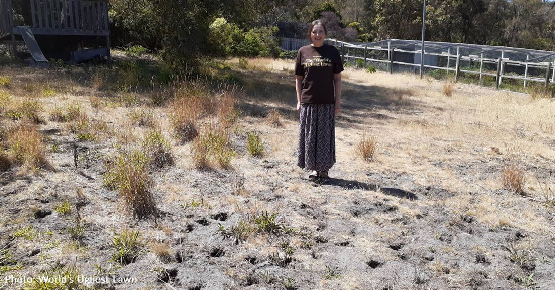 Australian Woman's Dried Up, Bandicoot-Damaged Property Named 'World's Ugliest Lawn'