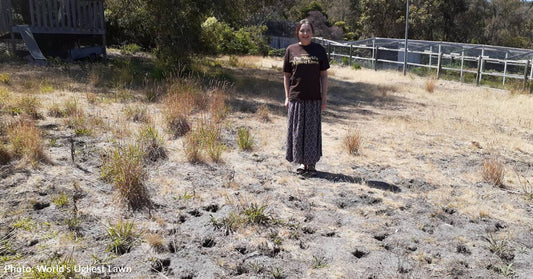 Australian Woman's Dried Up, Bandicoot-Damaged Property Named 'World's Ugliest Lawn'