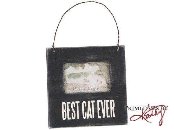 Best Pet Ever Mini Box Frame