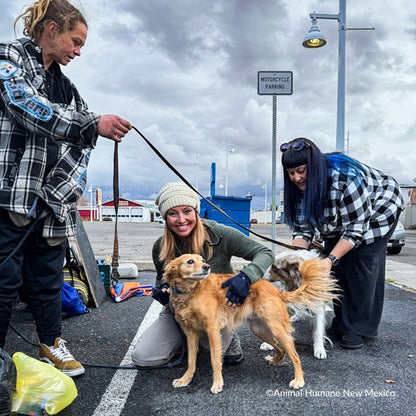 Three people with dogs on leashes in a parking lot, with 'Animal Humane New Mexico' branding.