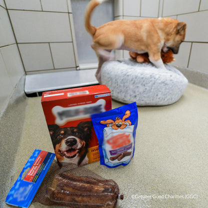Happy Birthday Animal Rescue Site | Send Presents to Dogs & Cats