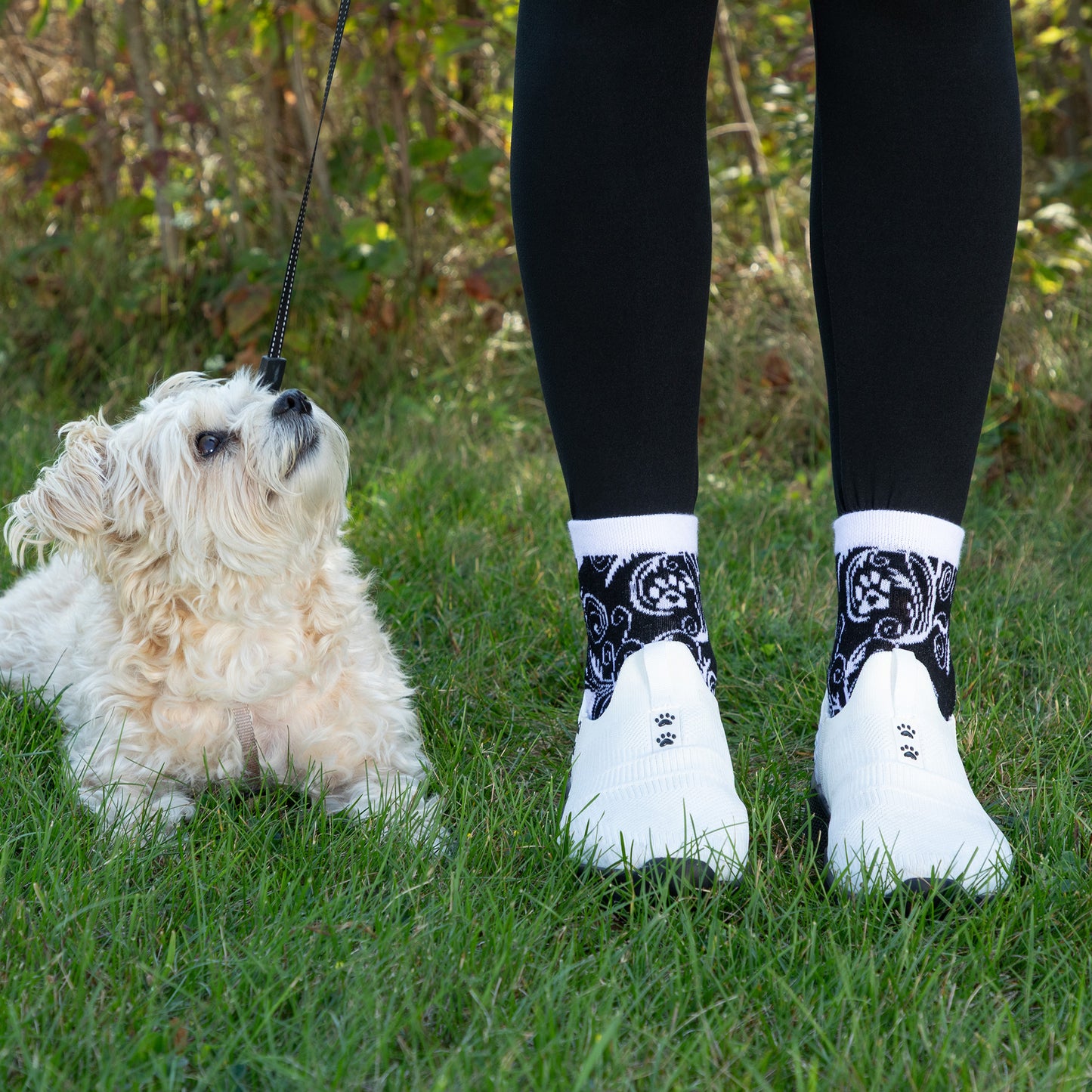 Person standing outdoors next to their pet dog on a walk. They are wearing athletic walking shoes paired with the tops of ankle-length socks that are black with white cuffs and white paw prints and swirls design. 