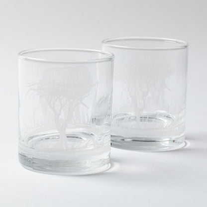 Two clear glass tumblers on a white background