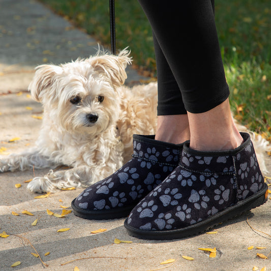 Person wearing black patterned ankle booties with a white dog on a leash in the background
