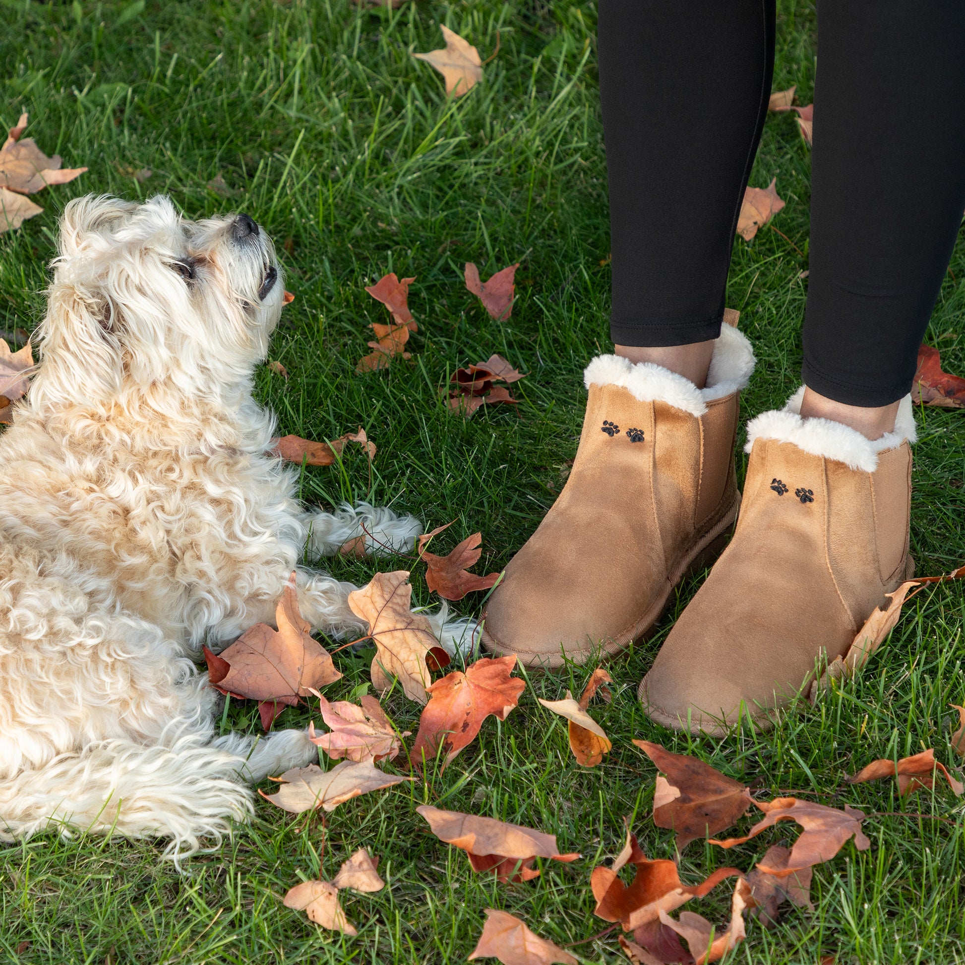 Paw Print Faux Suede Chelsea Boots The Animal Rescue Site