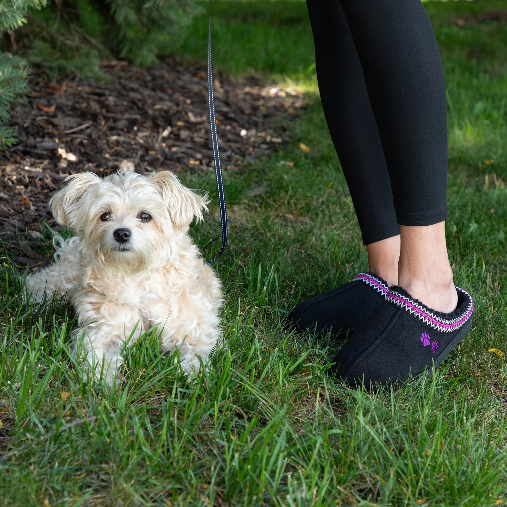 Small white dog sitting on grass next to a person wearing black clog slipper shoes with purple trim.