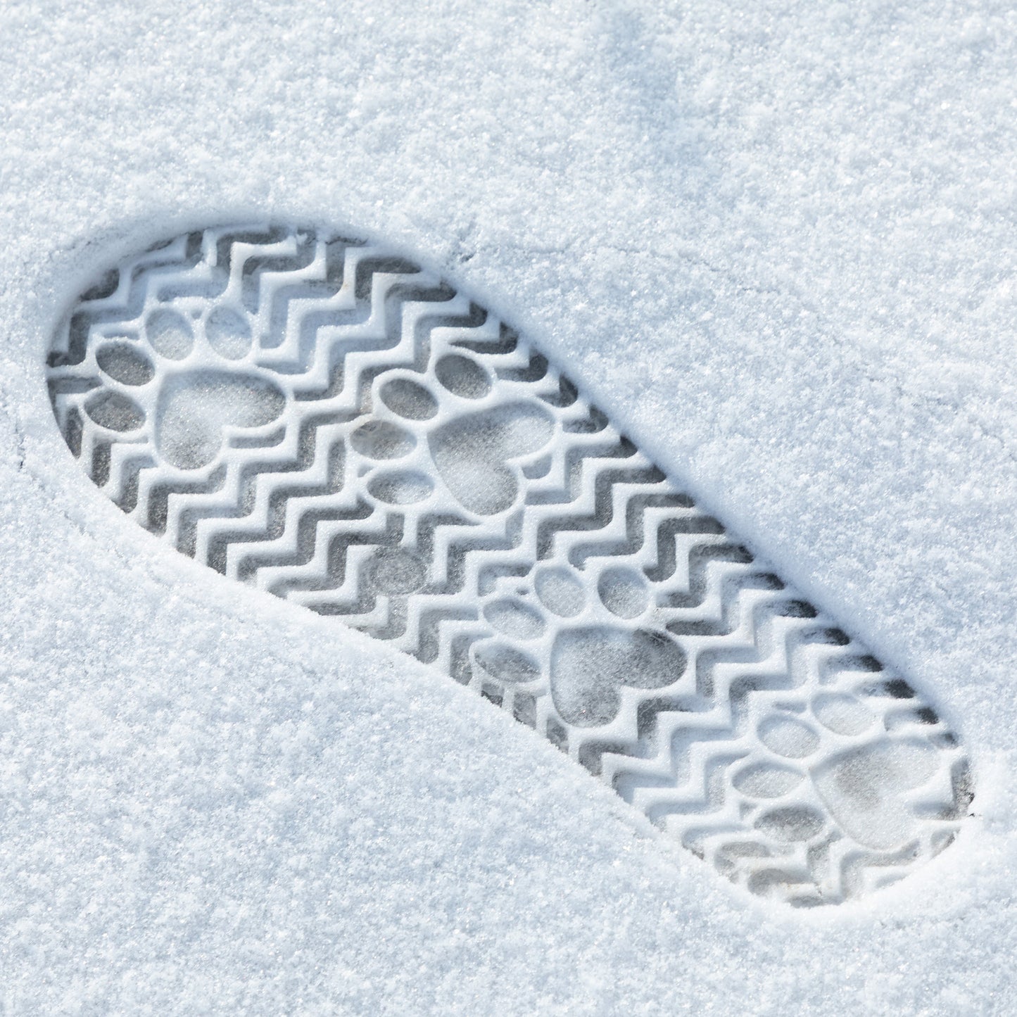 Paw Print Embroidered Indoor/Outdoor Slide-in Slipper Shoes