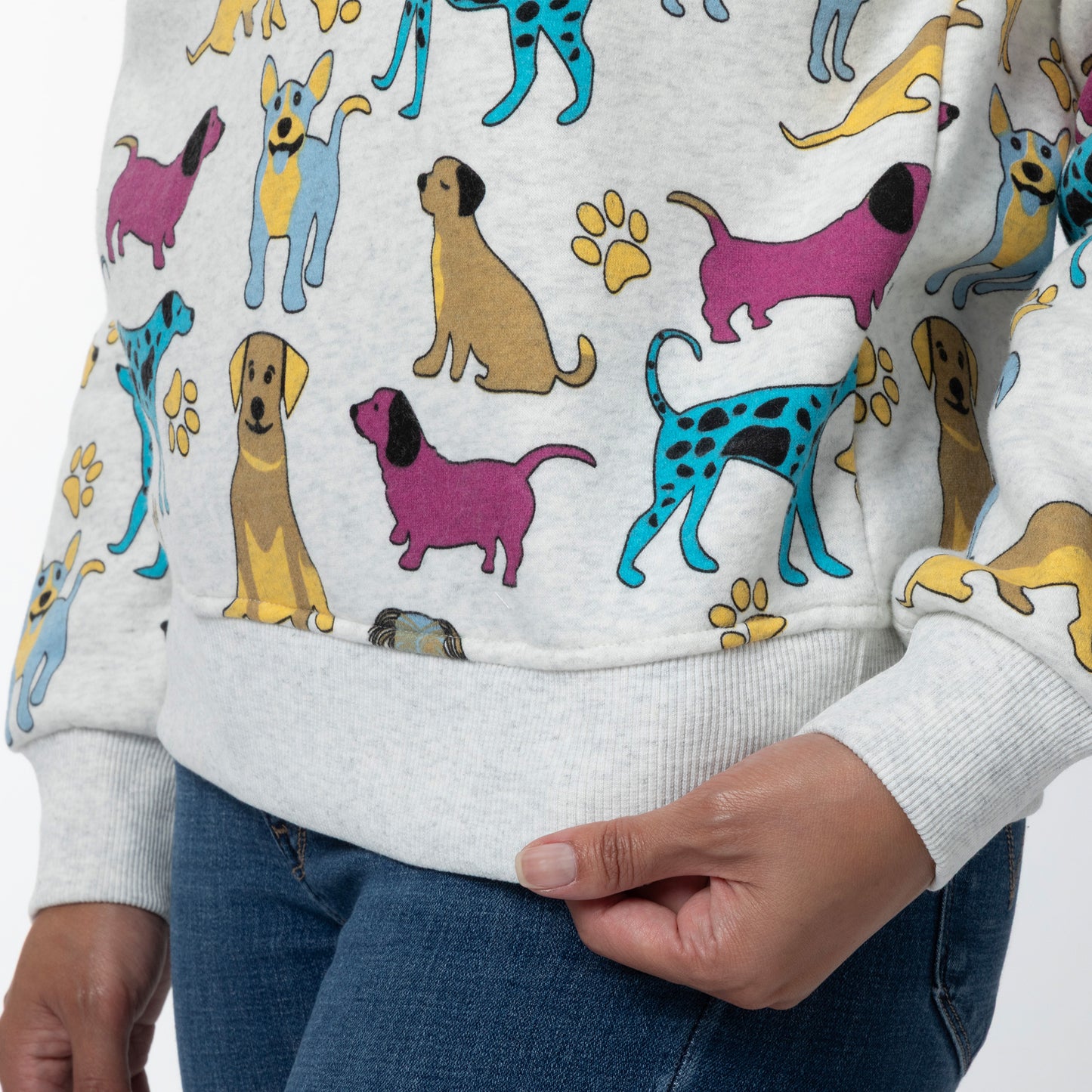 Colorful Pet Print Sweatshirt