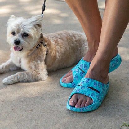 A small fluffy white dog lies on a concrete surface next to a person wearing bright turquoise slide sandals with a blue floral pattern. The dog is also wearing a harness and leash.
