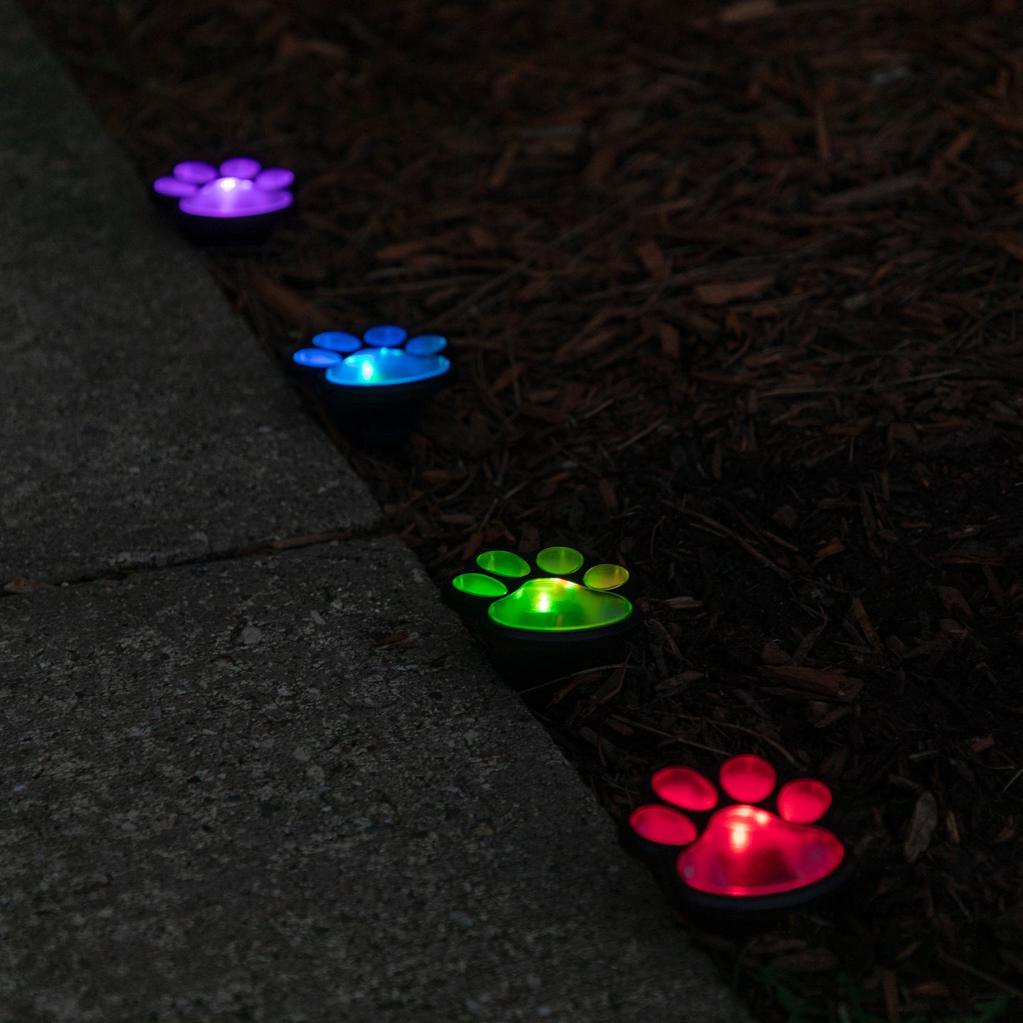 Paw Print Solar Wireless Ground Lights - Set of 4