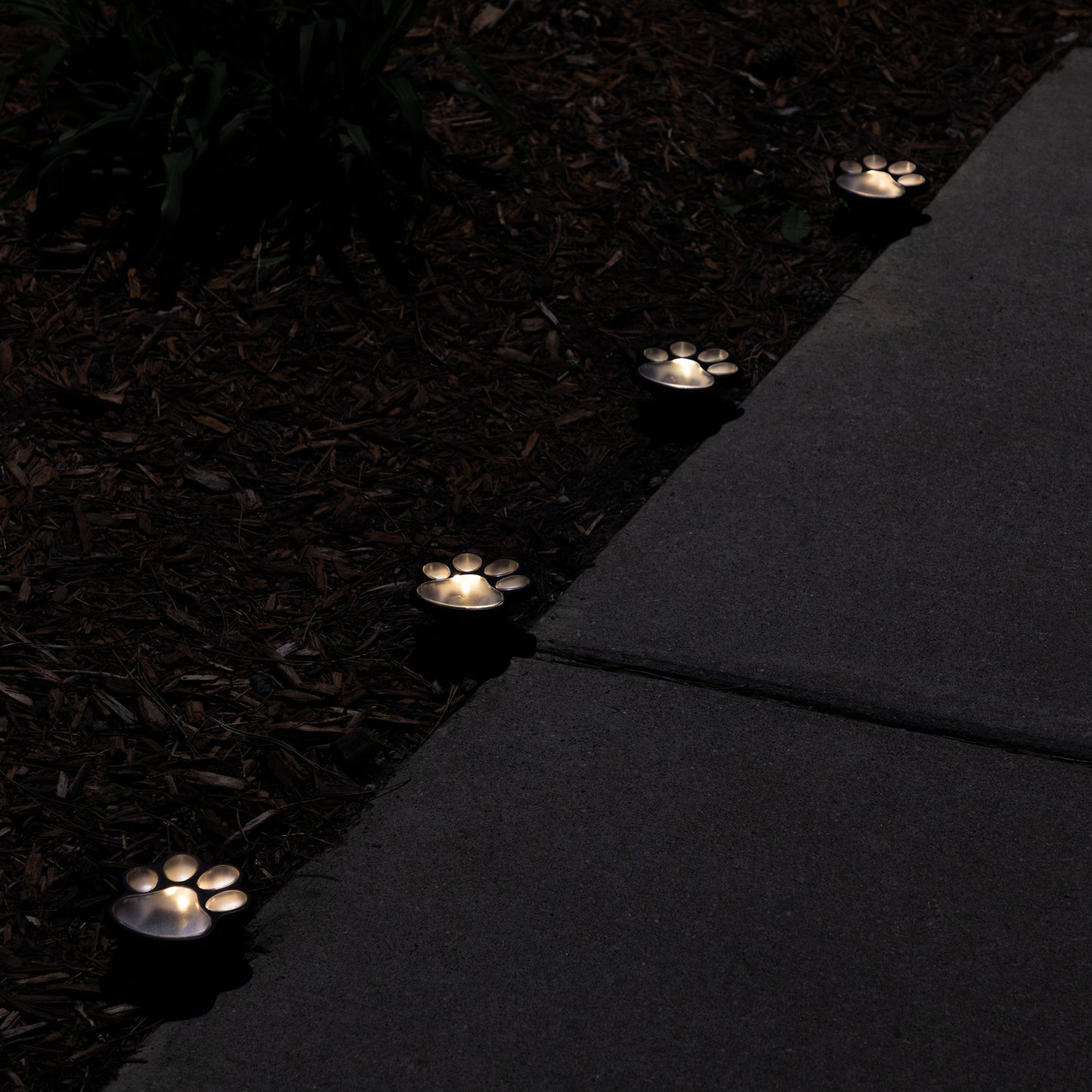 Paw Print Solar Wireless Ground Lights - Set of 4