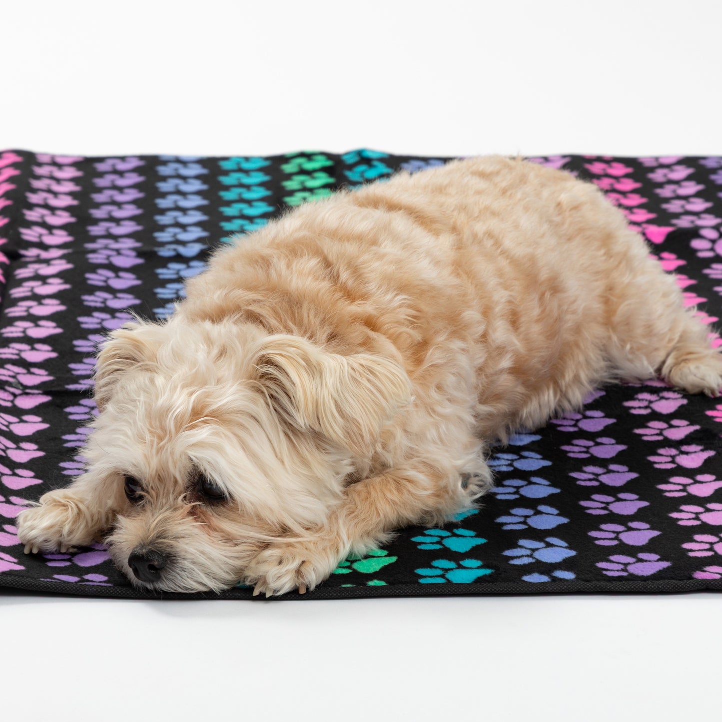 Paws Outdoor Blanket with Waterproof Backing & Handle