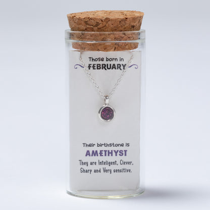 Necklace in a glass jar with a cork lid, featuring information about February birthstones on a white background.