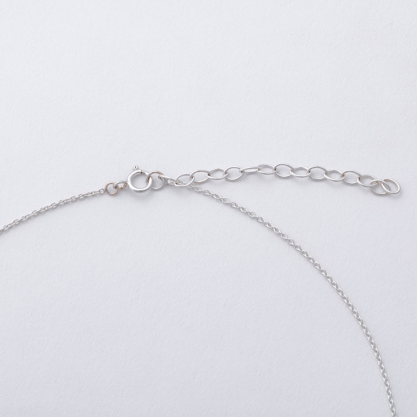 Silver chain necklace with clasp, on a light gray background