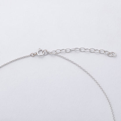Silver chain necklace with clasp, on a light gray background