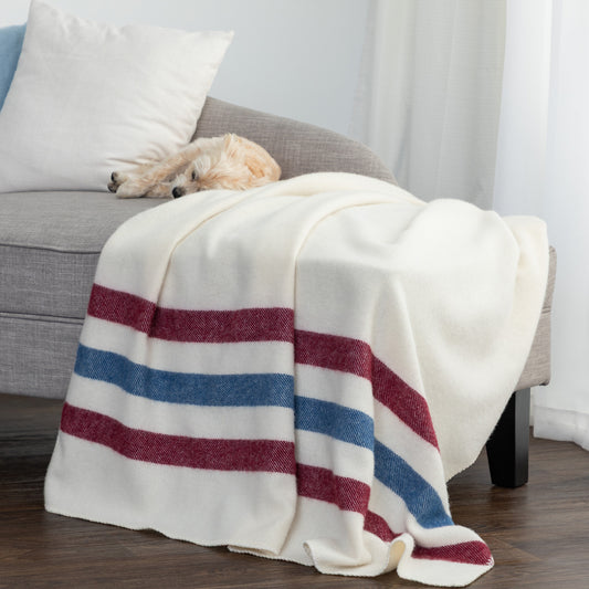 A soft cream throw blanket with horizontal red and blue stripes is draped over a gray sofa in a bright living room, with a small light-colored dog resting on the couch.