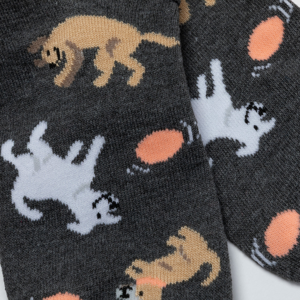 Close-up of a pair of dark charcoal gray knit socks with a playful pattern of cartoon kittens in white, tan, and orange.