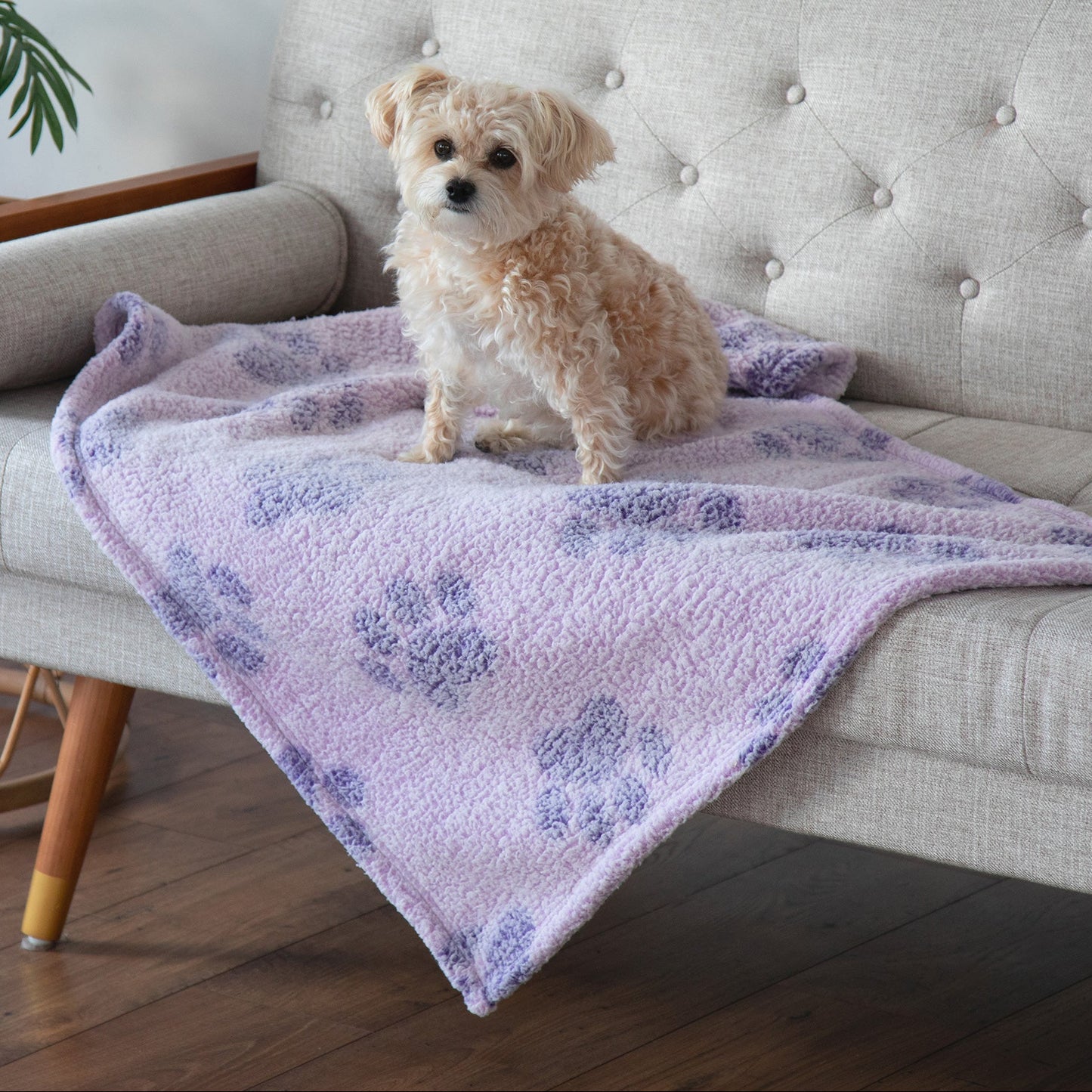 Paws I Love You Plush Sherpa Fleece Pet Blanket