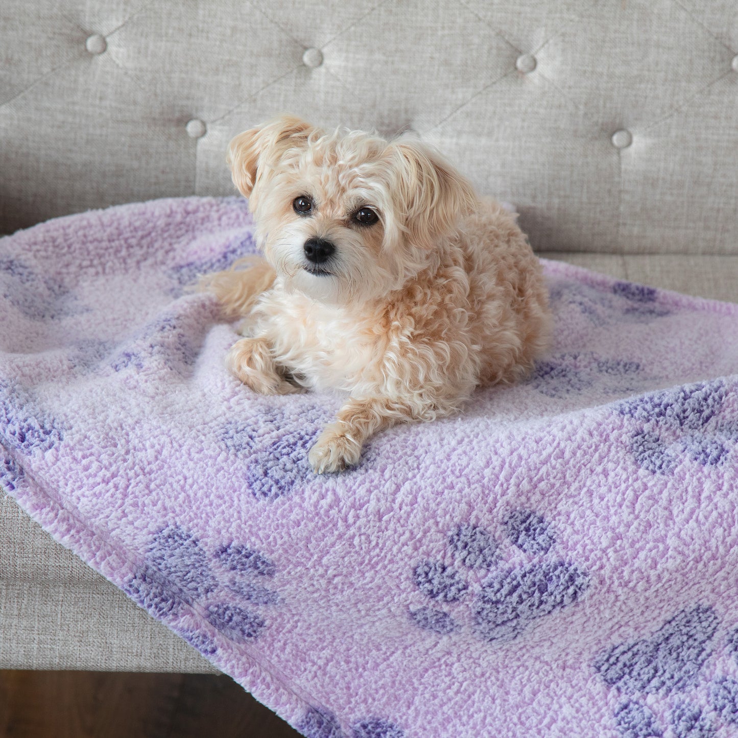 Paws I Love You Plush Sherpa Fleece Pet Blanket