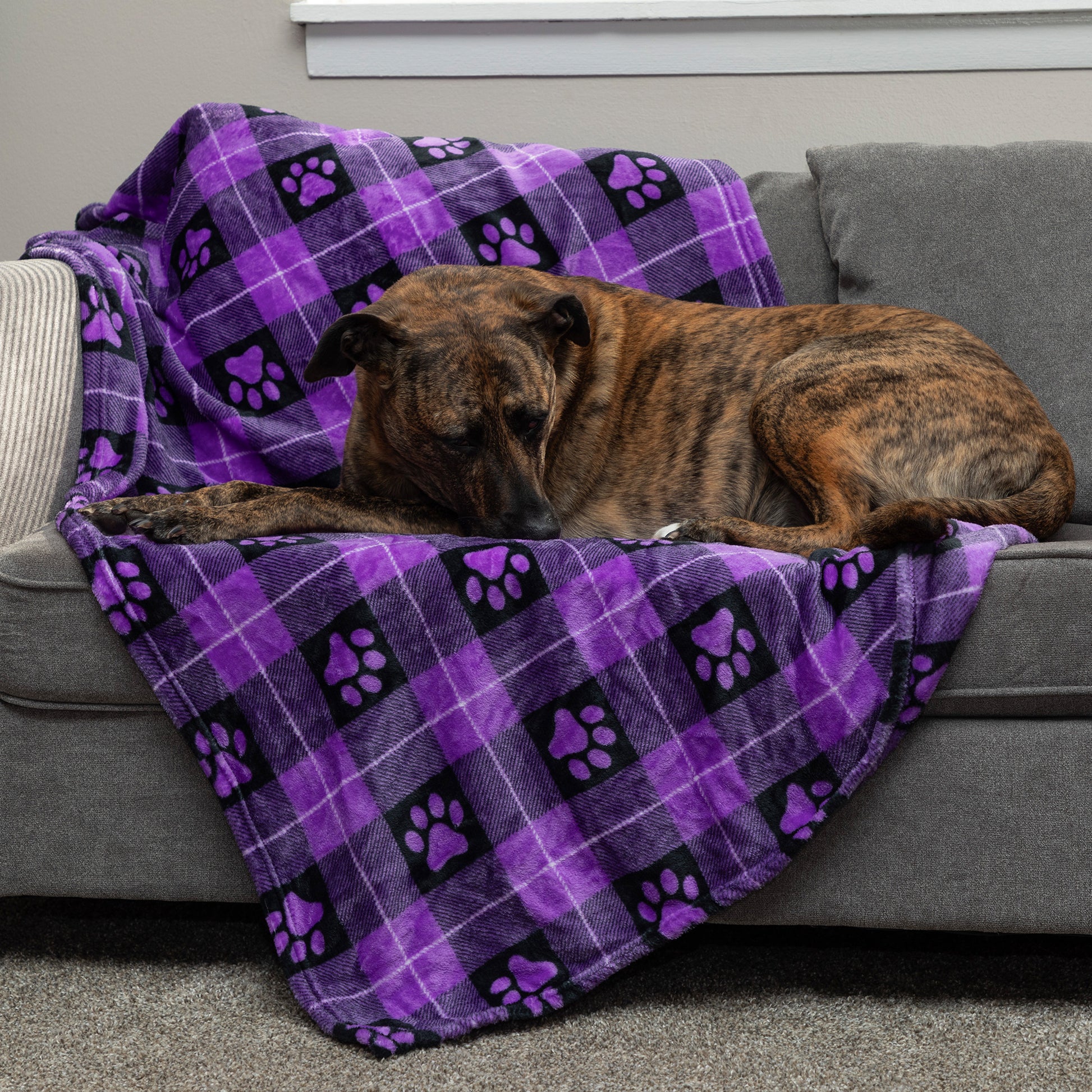 Super Cozy™ Pet Blanket The Animal Rescue Site