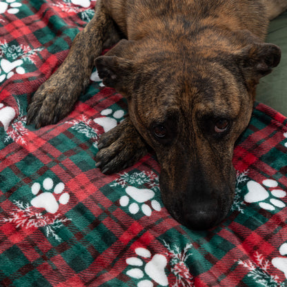 Super Cozy&trade; Pet Blanket