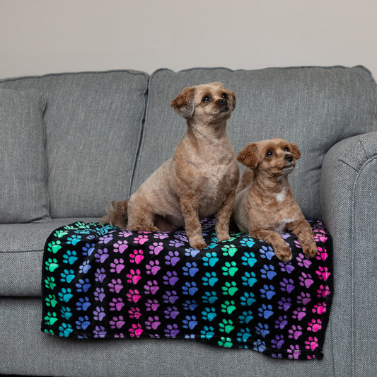 Two dogs sitting on a colorful paw patterned blanket on a gray couch.